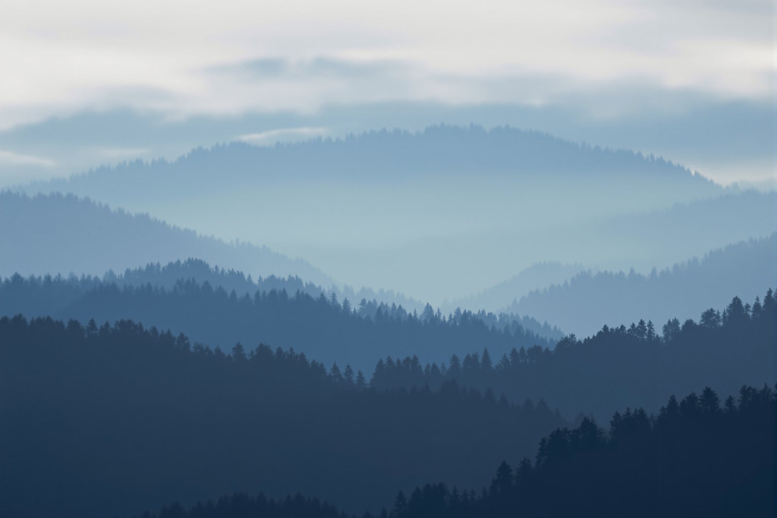 Layered forested mountain ridges fading into morning cloud